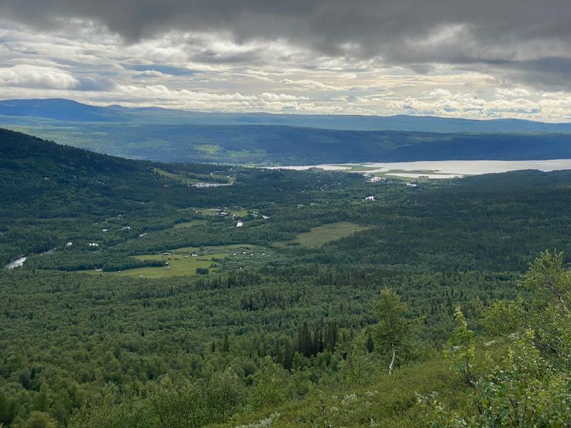 Sicht auf Ammarnäs